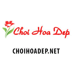 choihoadep