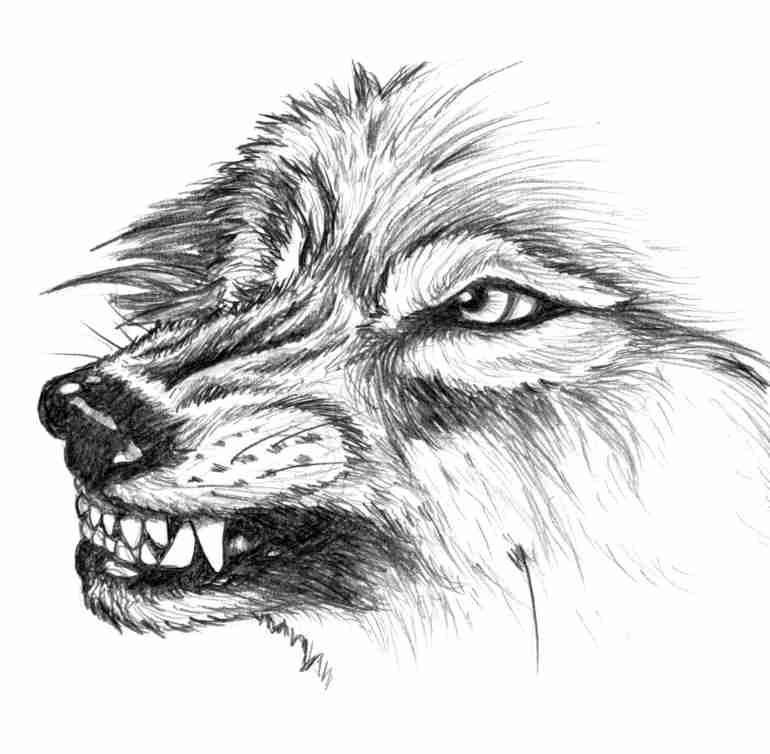 Show profile for White Wolf (WHITEWOLF_)