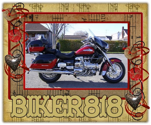 Show profile for biker818