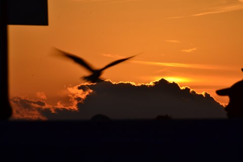 DSC_0190.JPG