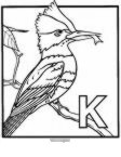 Show profile for Kingfisher (Kingfisher40)