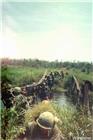 Had to wade even when we found a bridge. The guys with no shirts were diving to retrieve a dropped M-16. Never found it and it's probably still there today.